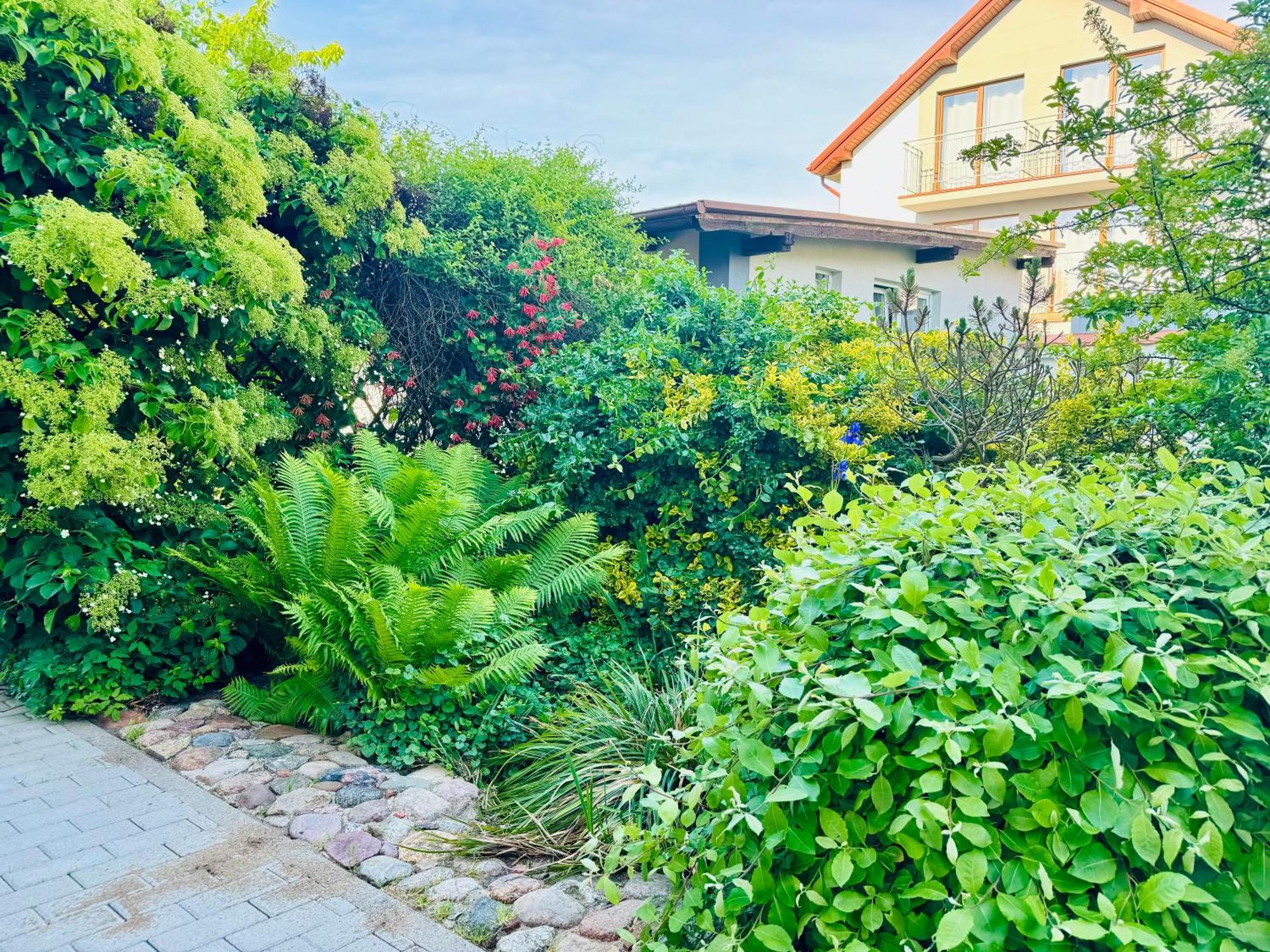 Homestay Medom Wladyslawowo